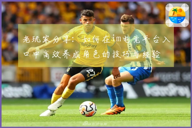 老玩家分享：如何在im电竞平台入口中高效养成角色的技巧与经验
