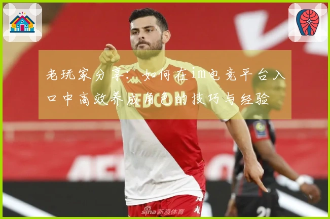 老玩家分享：如何在im电竞平台入口中高效养成角色的技巧与经验